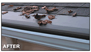 Gutter Guard Systems