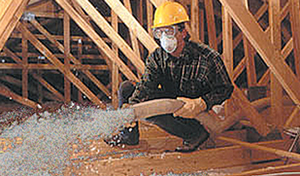Blown Cellulose Insulation