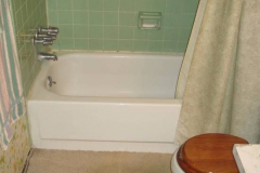 Tub To Shower