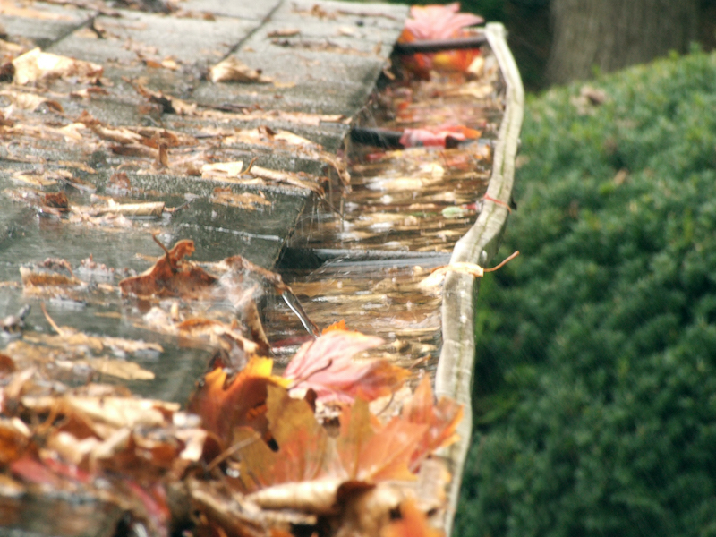 Clogged gutters full of leaves and water. Why it's important to know what to look for in a gutter company